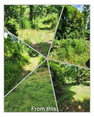 property cleanup before lawn maintenance